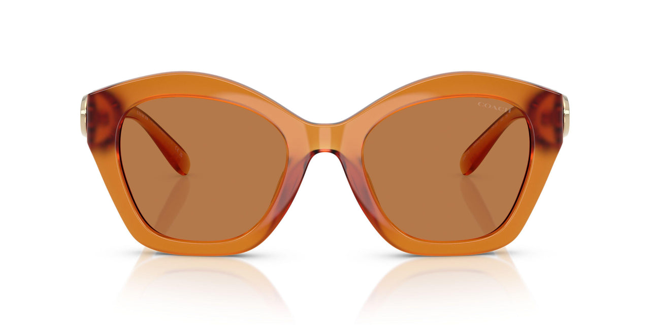 564773 - Orange - Brown Solid