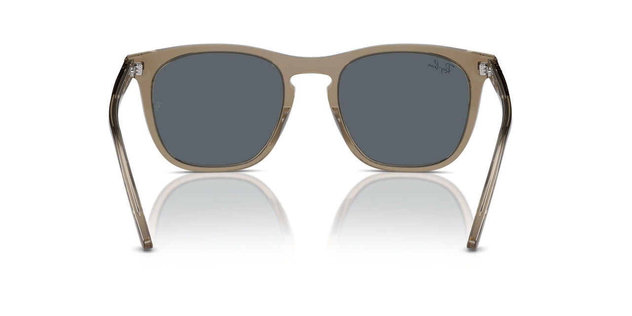 6765R5 - Brown - Blue