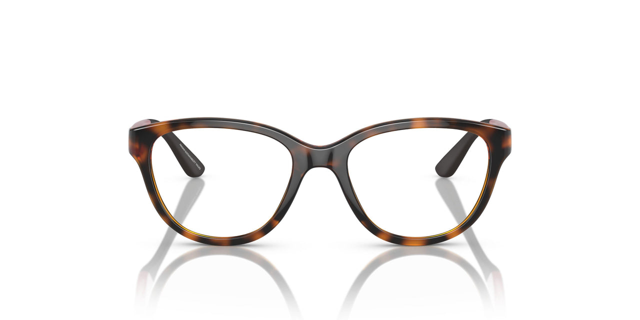 5026 - Tortoise