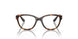 5026 - Tortoise