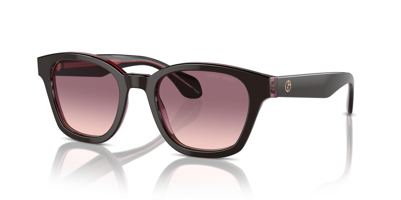 60888D - Brown - Pink Gradient Violet