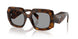 20D50Q - Havana - Grey