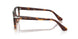 1160 - Brown
