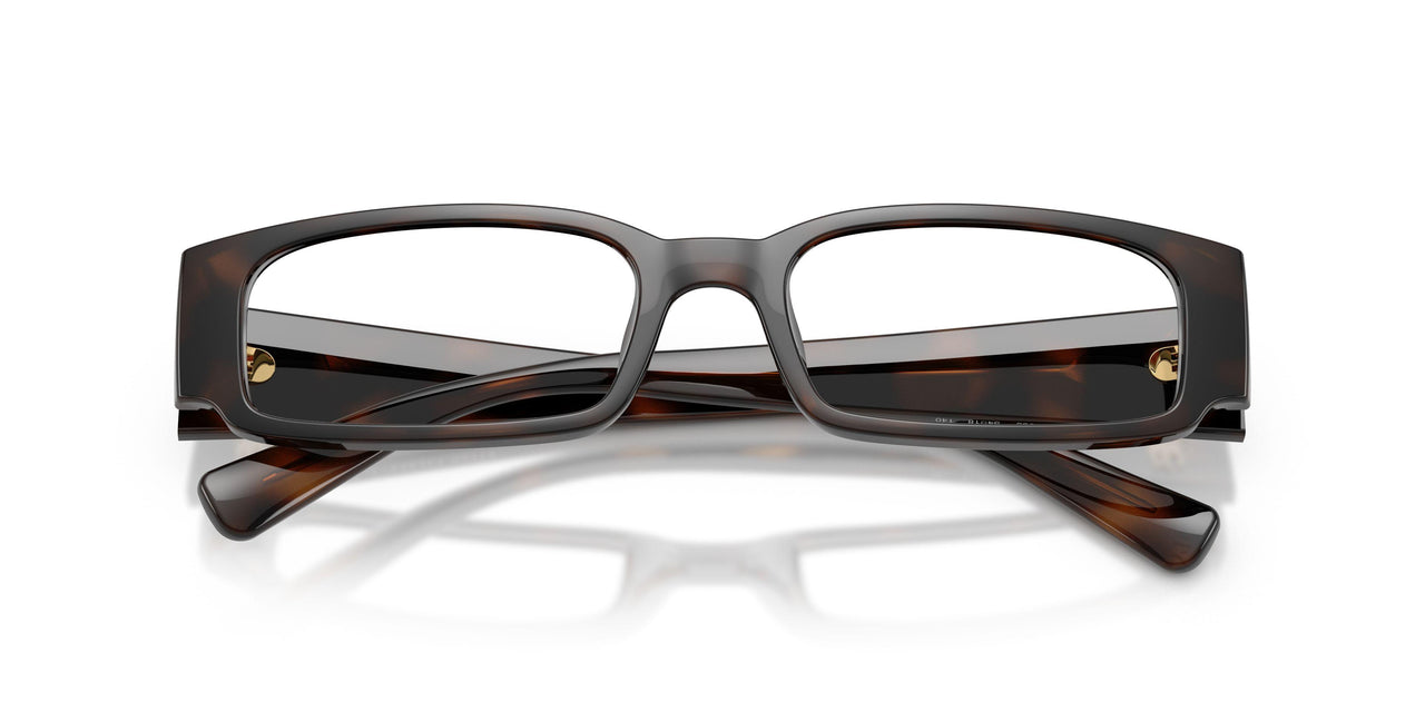 5860 - Tortoise