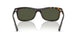 710/31 - Tortoise - Green