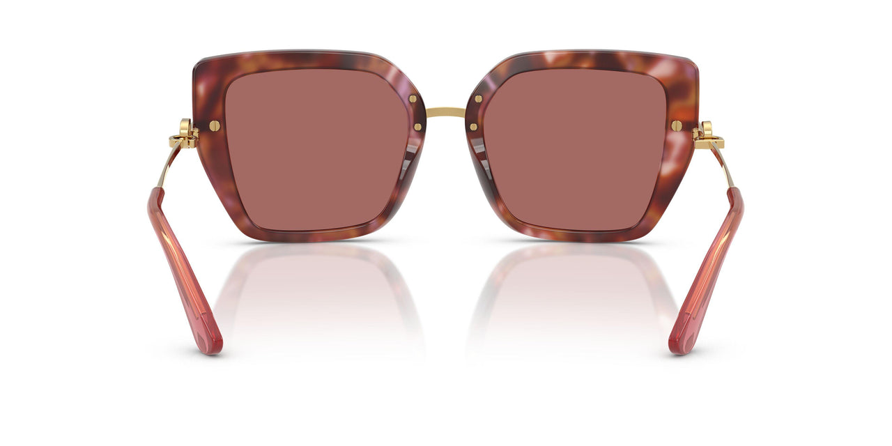 344469 - Tortoise - Dark Violet