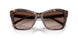 500213 - Tortoise - Brown Gradient