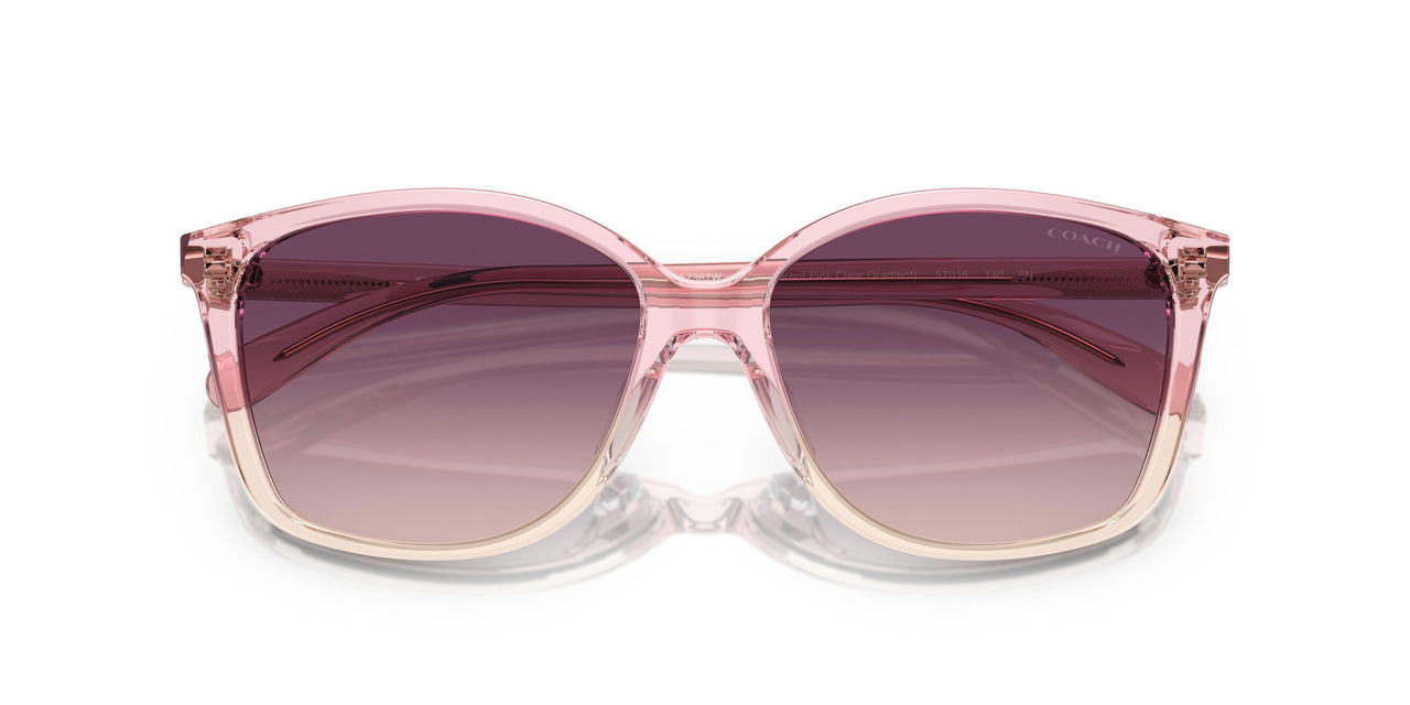 57387W - Pink - Purple Pink Gradient