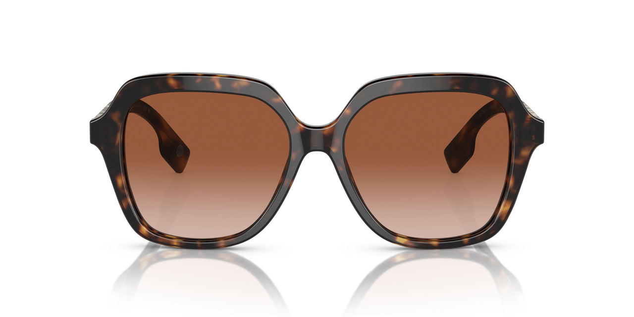 300213 - Brown - Brown Gradient