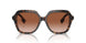 300213 - Brown - Brown Gradient