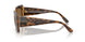 2386T5 - Havana - Polar Grey Gradient Brown