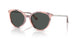 509887 - Pink - Dark Grey