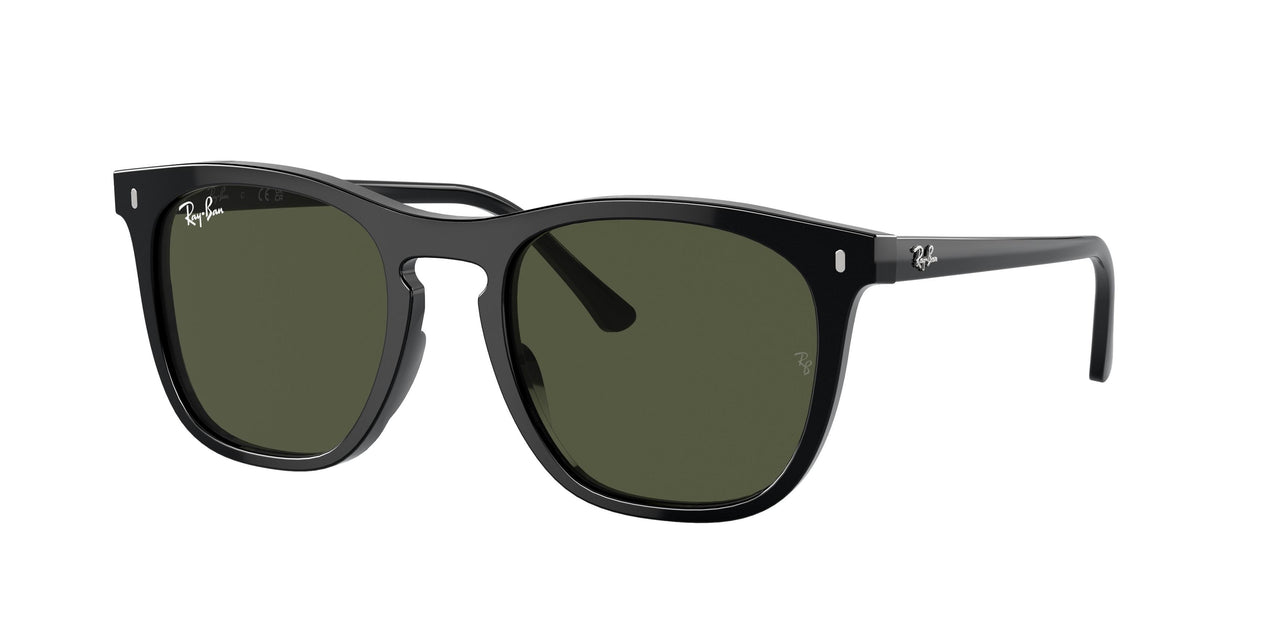 Ray-Ban 2210 Sunglasses