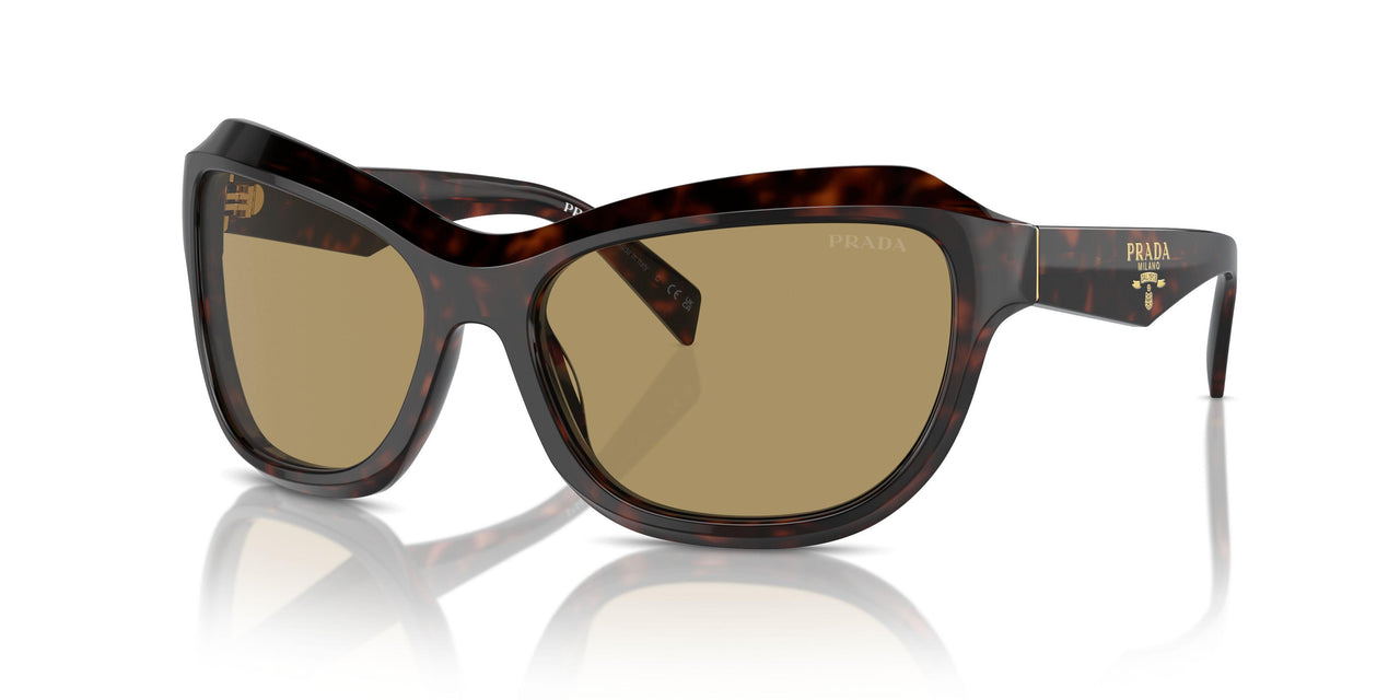 17N70G - Tortoise - Green Olive
