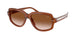 630613 - Brown - Gradient Brown