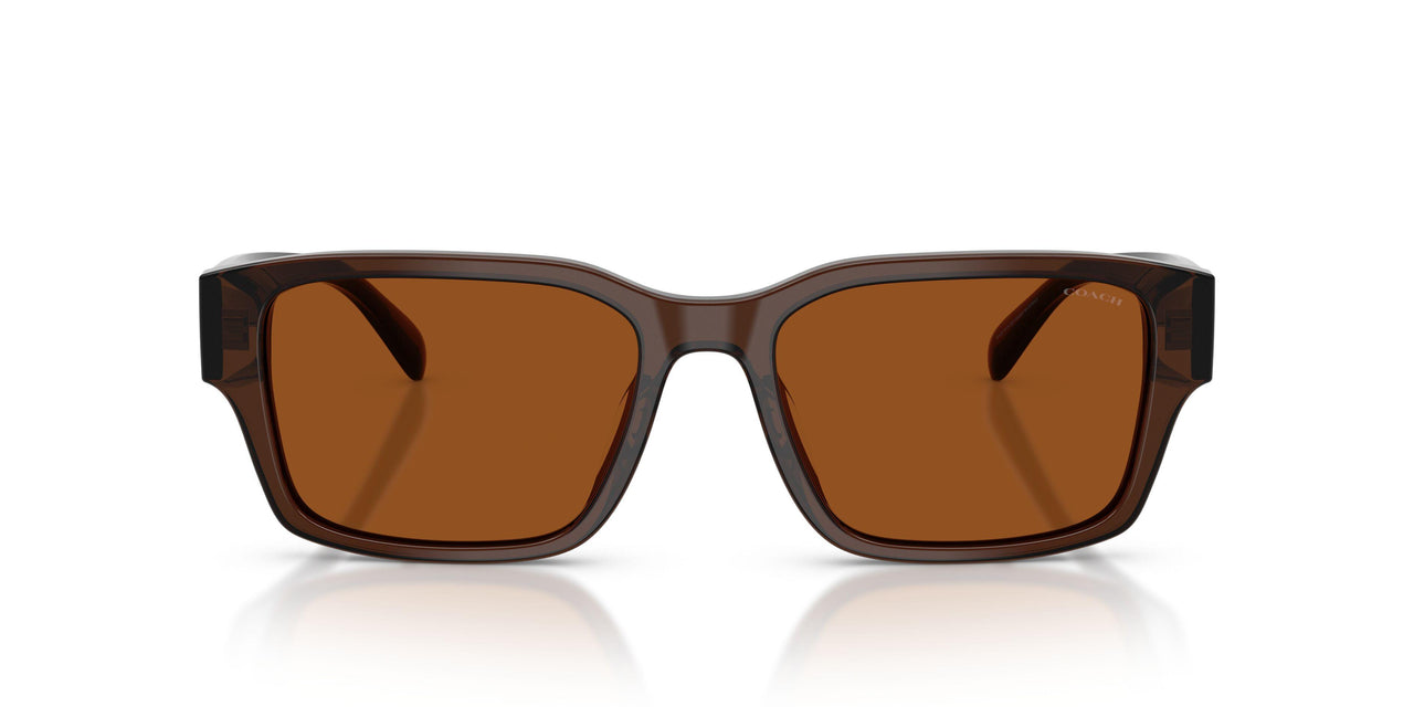 591173 - Brown - Brown Solid