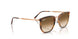 680451 - Orange - Clear Gradient Brown