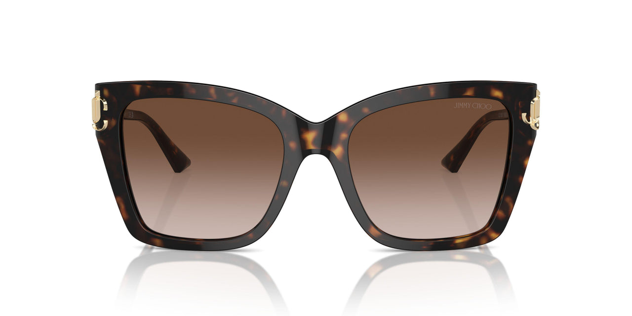 500213 - Tortoise - Gradient Brown