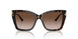 500213 - Tortoise - Gradient Brown