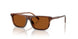348173 - Brown - Dark Brown