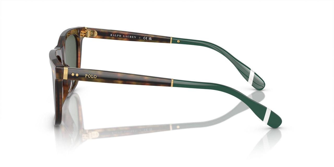 501771 - Tortoise - Bottle Green