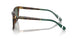 501771 - Tortoise - Bottle Green