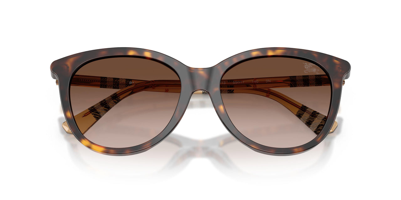 421613 - Brown - Brown Gradient