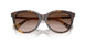 421613 - Brown - Brown Gradient