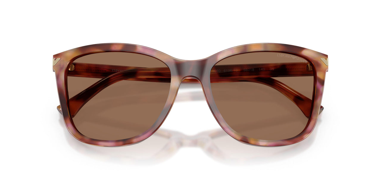 619673 - Red - Dark Brown
