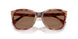 619673 - Red - Dark Brown