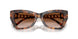 39043B - Tortoise - Brown Gradient