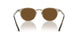 166657 - Brown - True Brown Polarized