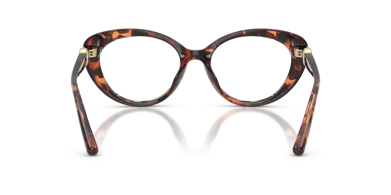 4031 - Tortoise