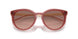 391313 - Brown - Brown Pink