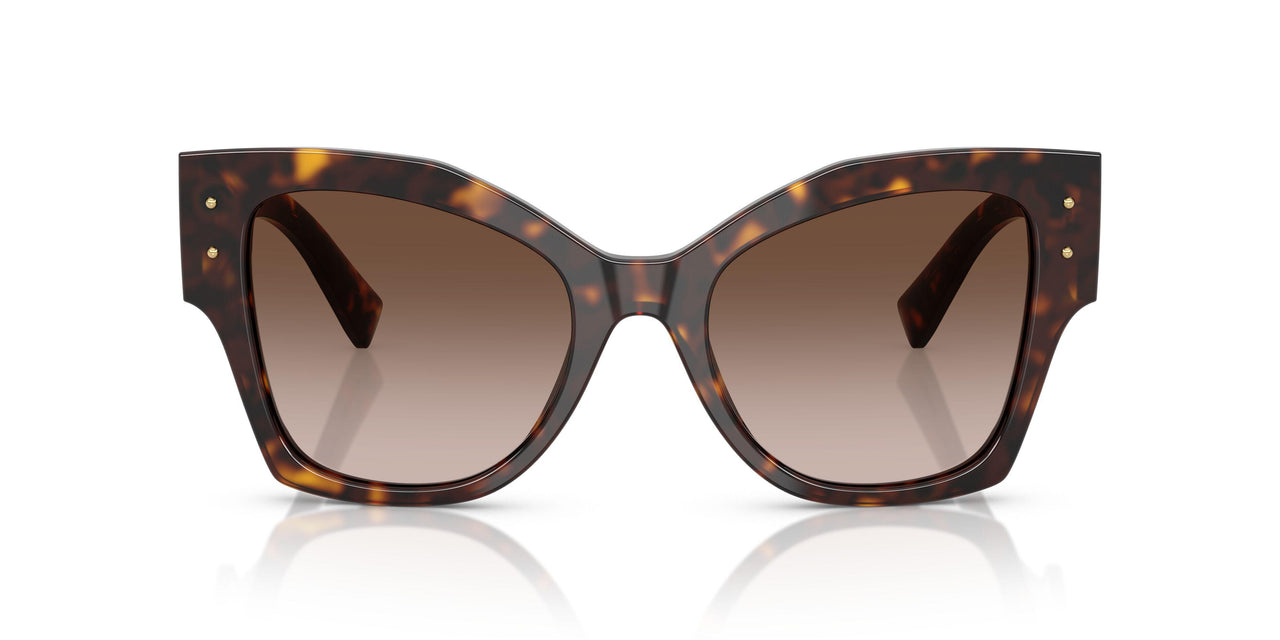 502/13 - Tortoise - Gradient Brown