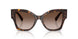 502/13 - Tortoise - Gradient Brown