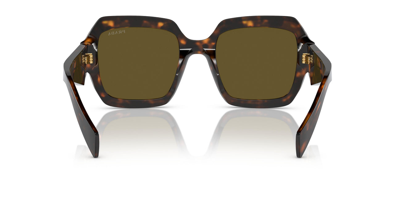 14L09Z - Green - Dark Brown