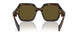 14L09Z - Green - Dark Brown