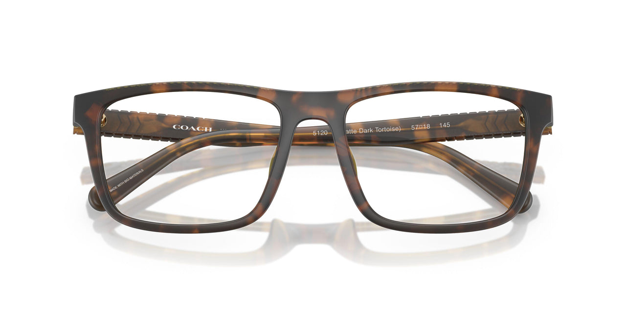 5120 - Tortoise