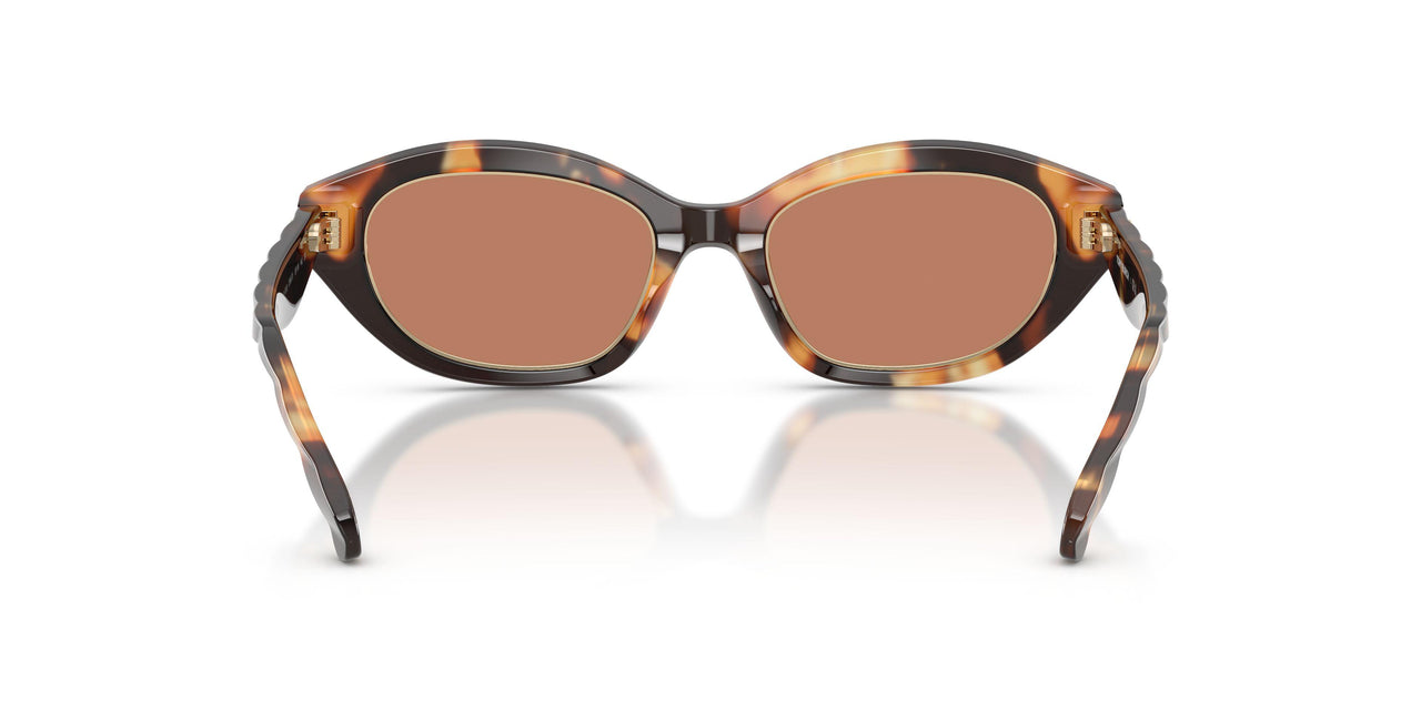 206673 - Multicolor - Amber
