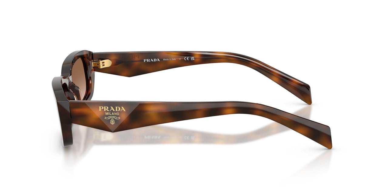 20D90P - Tortoise - Brown Gradient
