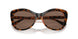 W65673 - Brown - Dark Brown