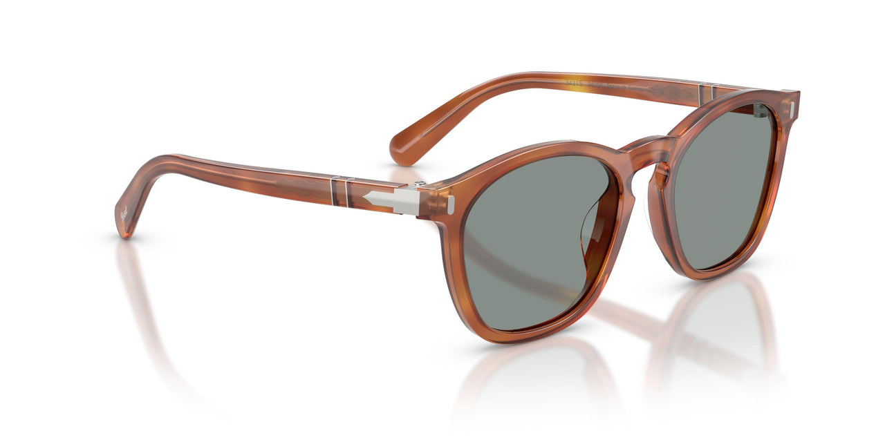 96/56 - Brown - Blue