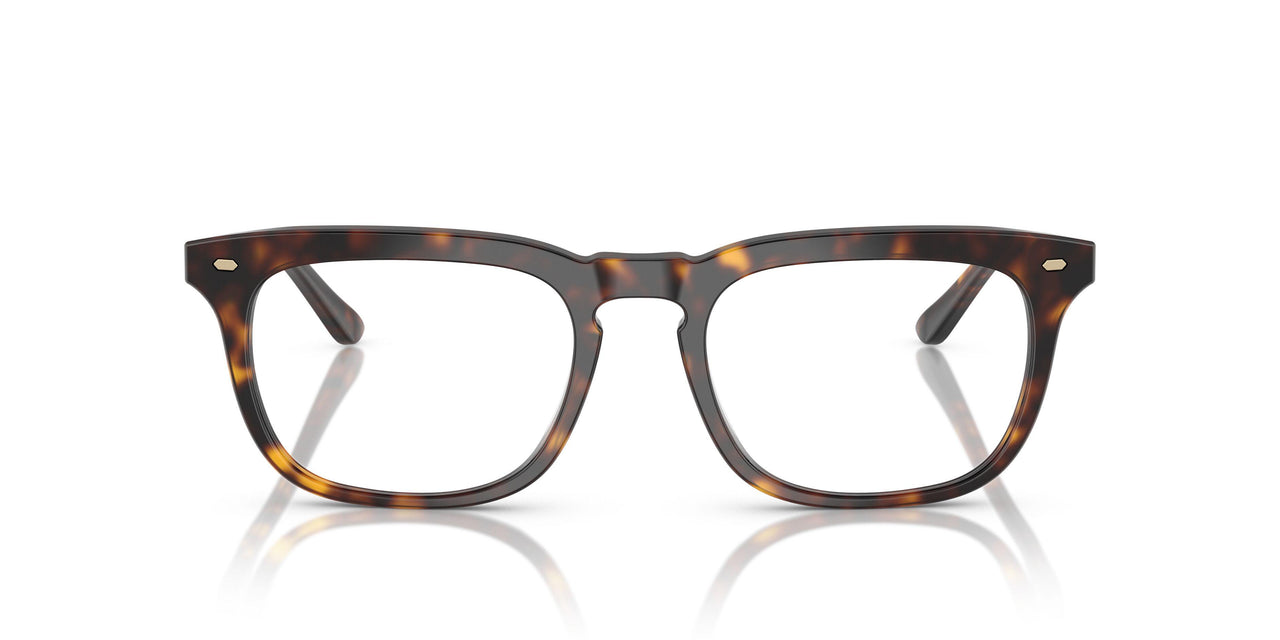 6161 - Tortoise