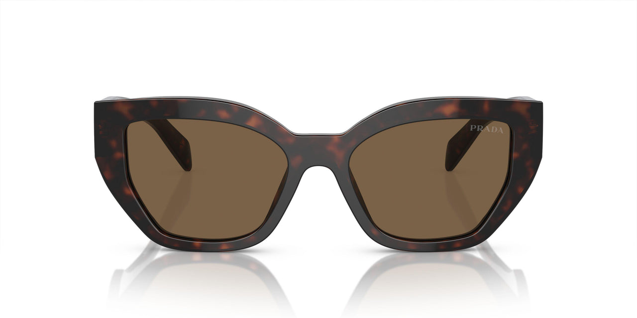 16N5Y1 - Briar Tortoise - Dark Brown