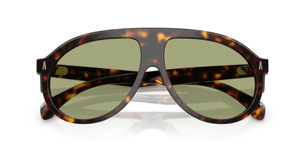 300282 - Tortoise - Green