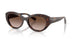 W65613 - Brown - Gradient Brown