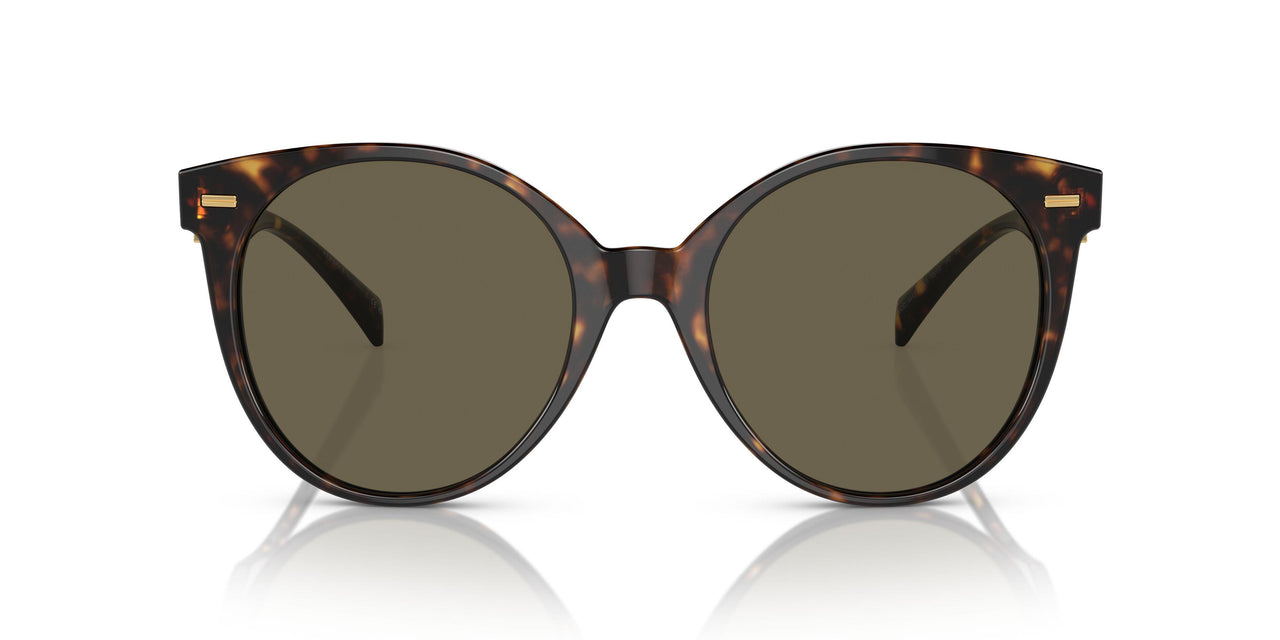 108/3 - Tortoise - Brown