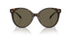 108/3 - Tortoise - Brown