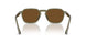 114257 - Green - Polarized Brown